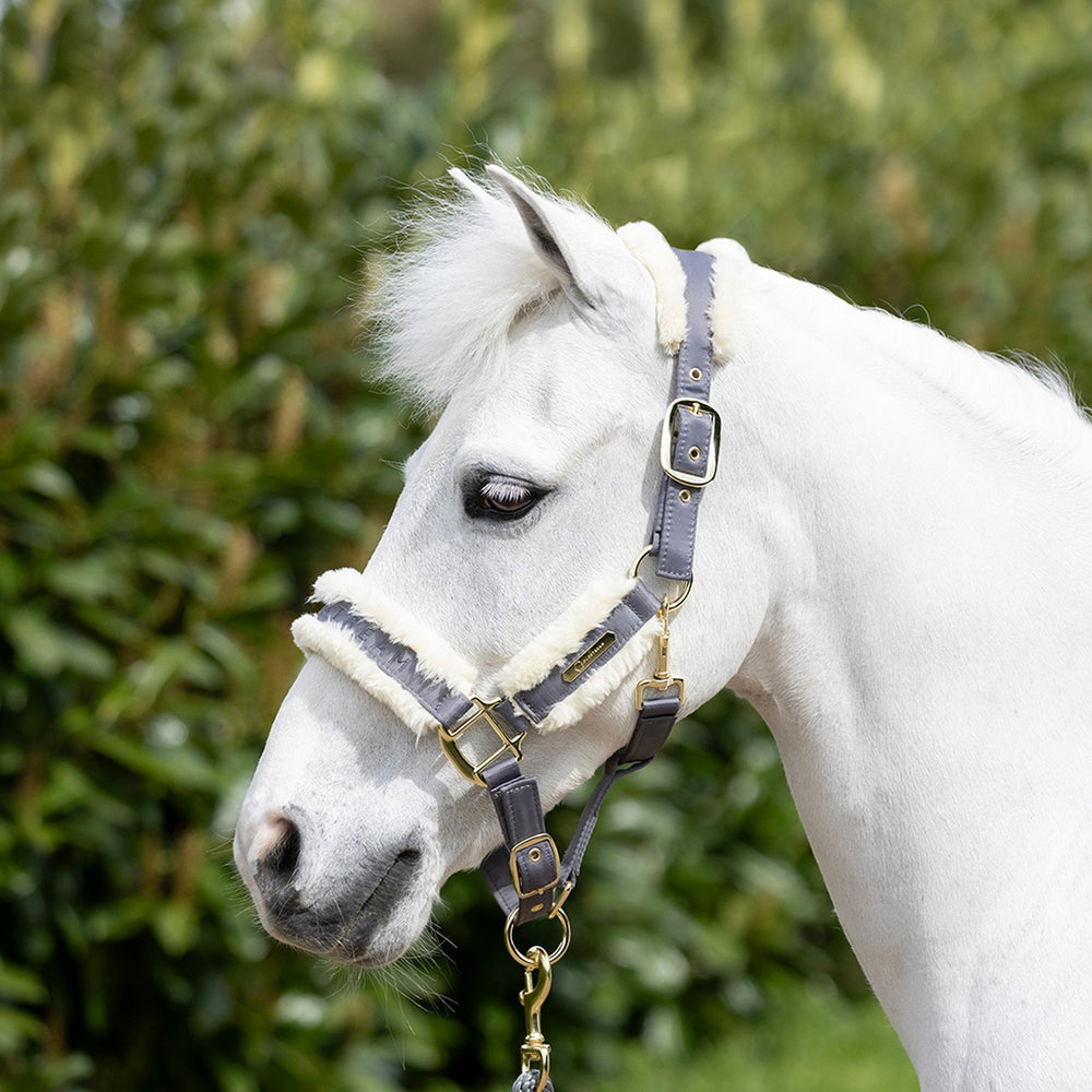 Coldstream Langlee Luxury Headcollar & Lead Rope Grey