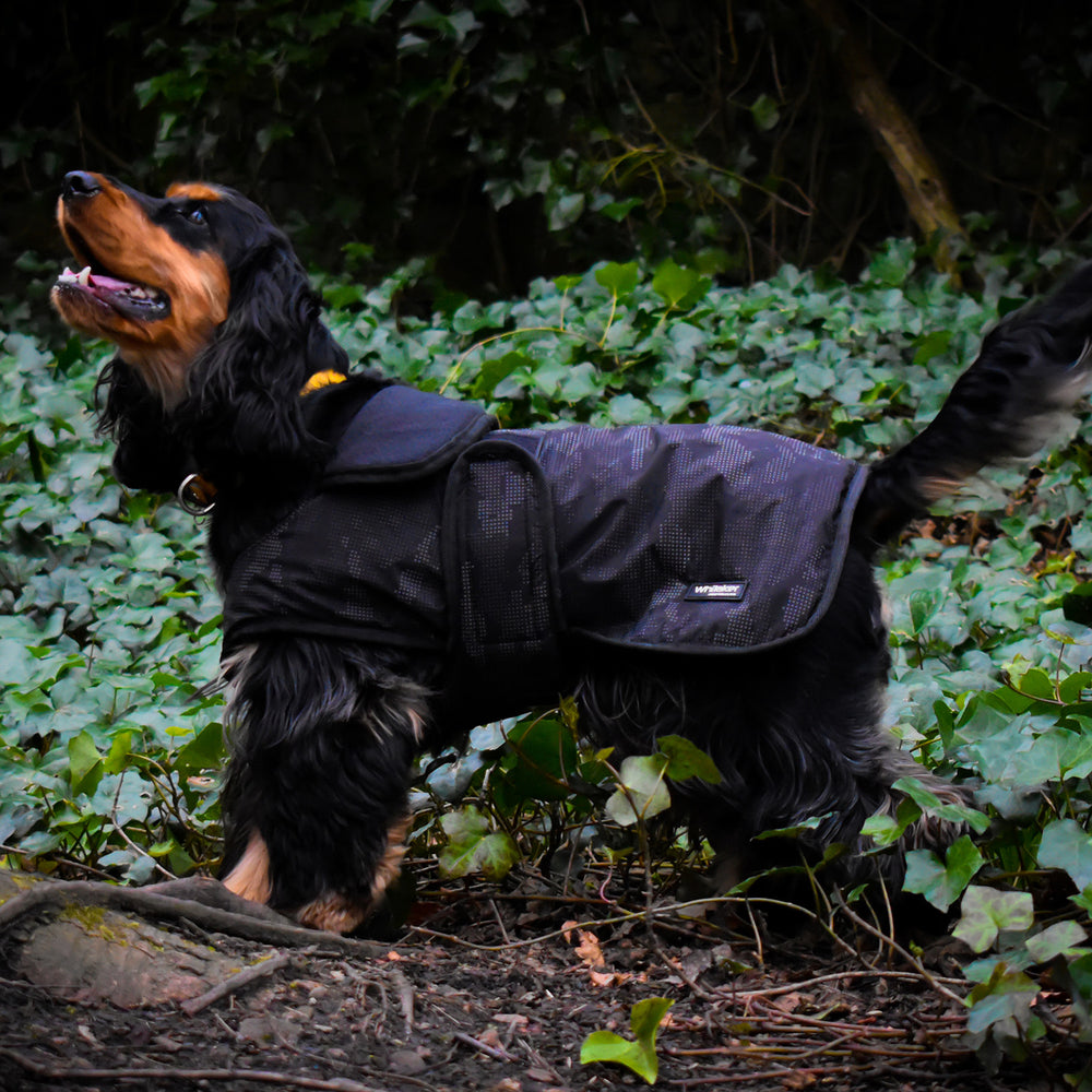 Whitaker D213 Sydney Dog Coat Reflective Black Camo