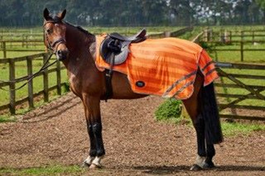 Firefoot Reflective Exercise Sheet Orange
