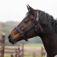Kingsland Neville Leather Halter