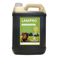 Global Herbs Lamipro Liquid
