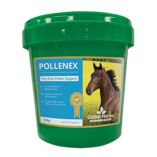 Global Herbs Pollenex