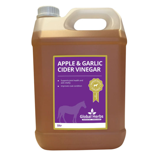 Global Herbs Apple & Garlic Cider Vinegar