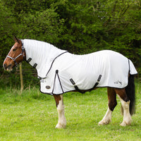 Gallop