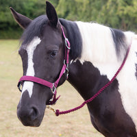 Gallop Premium Padded Headcollar With Lead Rope Burgundy