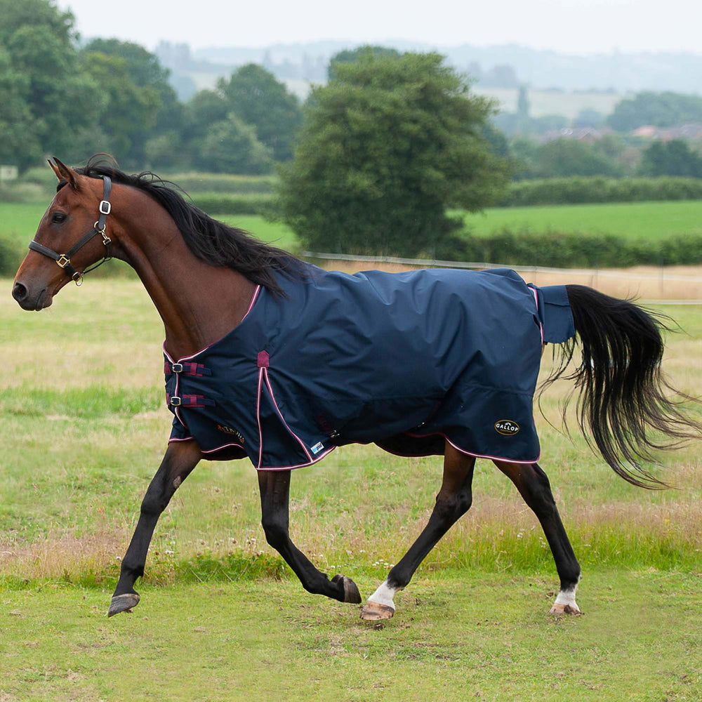 Gallop Trojan Duraproof 50G 5-Point Std Neck Turnout Navy