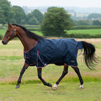 Gallop Trojan Duraproof 50G 5-Point Std Neck Turnout Navy
