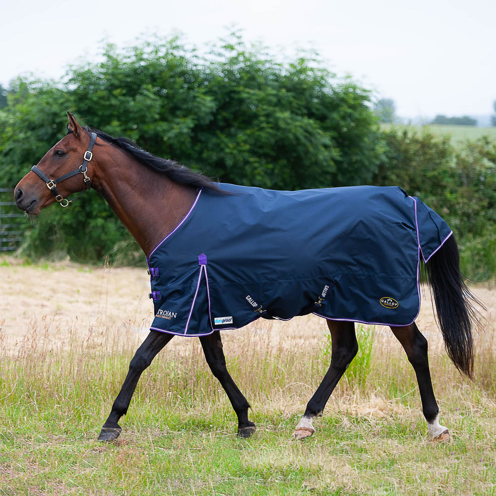 Gallop Trojan Duraproof 5-Point Std Lightweight Turnout Navy