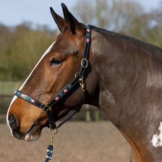 Gallop Diamond Padded Leather Headcollar Pink/Aqua