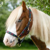 Gallop Diamond Padded Leather Headcollar Burgundy/Green
