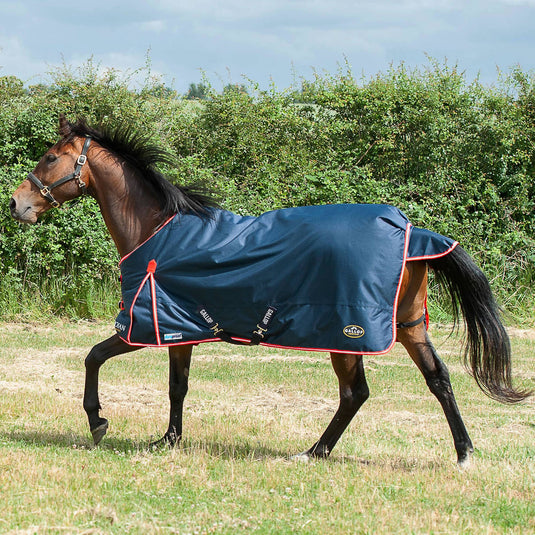 Gallop Trojan Duraproof 200G Turnout Navy