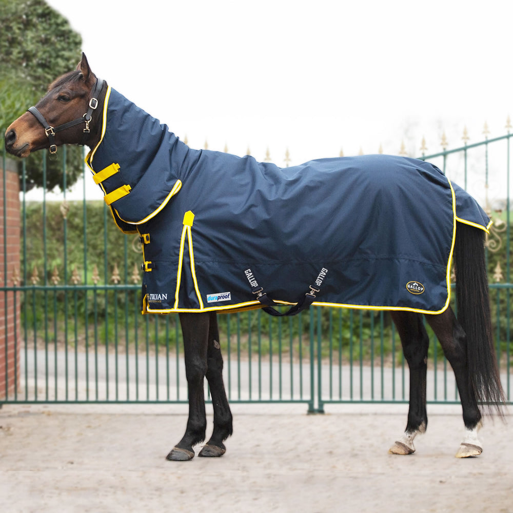 Gallop Trojan Durapr