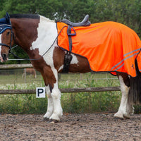 Gallop Trojan Retro Reflective Mesh Exercise Sheet Orange