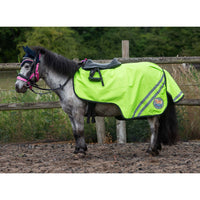 Gallop Ponie Retro W/Proof Exercise Sheet Yellow