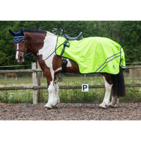 Gallop Trojan Retro W/Proof Exercise Sheet Yellow