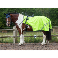 Gallop Trojan Retro W/Proof Exercise Sheet Yellow