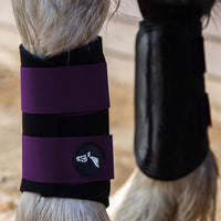 Gallop Gp Brushing Boots Purple
