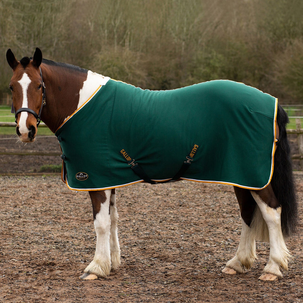 Gallop Ponie Tiddlywinks Jersey Cooler Rug Green/Wht/Yellow