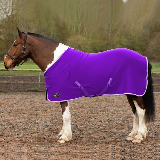 Gallop Ponie Tiddlywinks Jersey Cooler Rug Purp/Wht/Lav