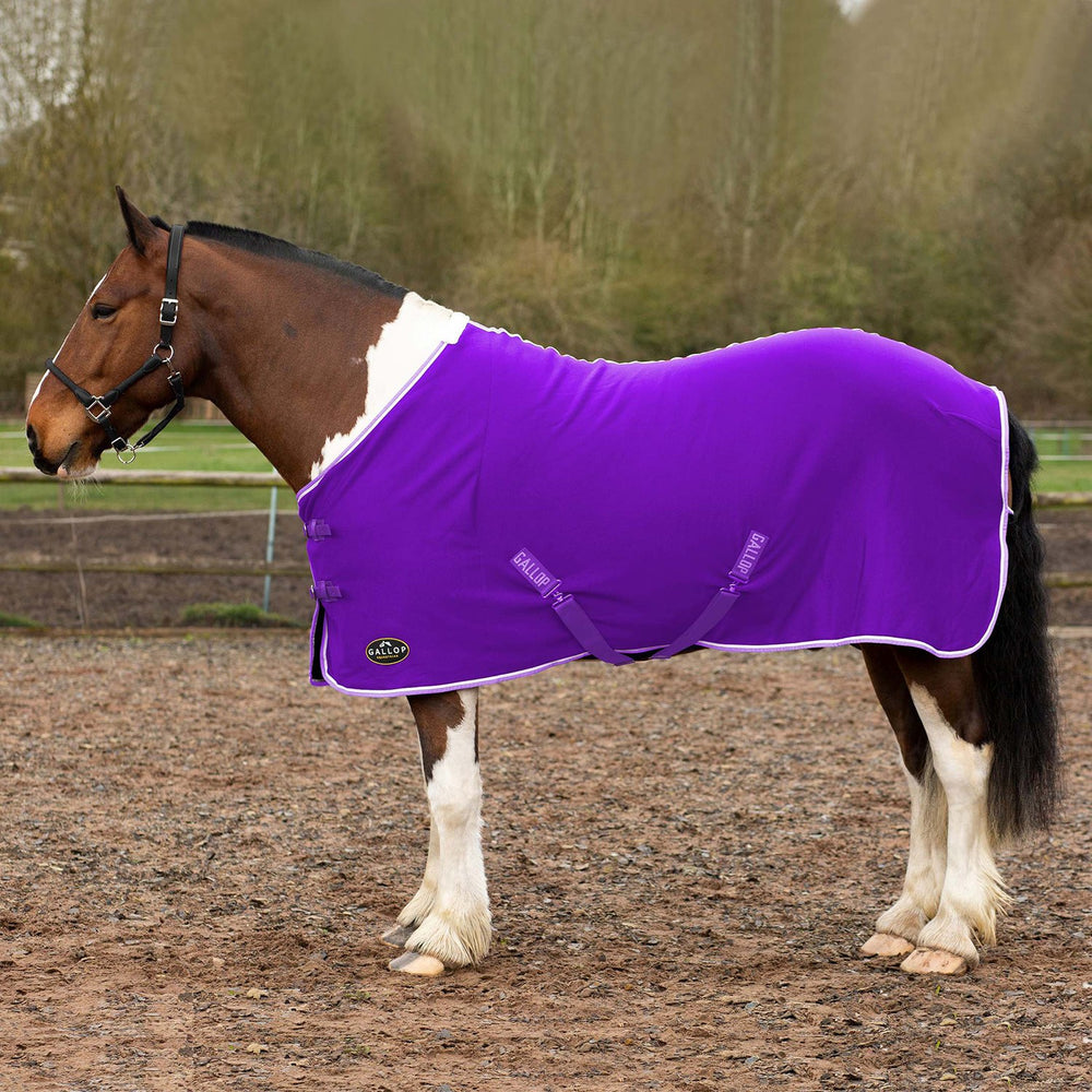 Gallop Premium Jersey Cooler Rug Purple/Wht/Lavender