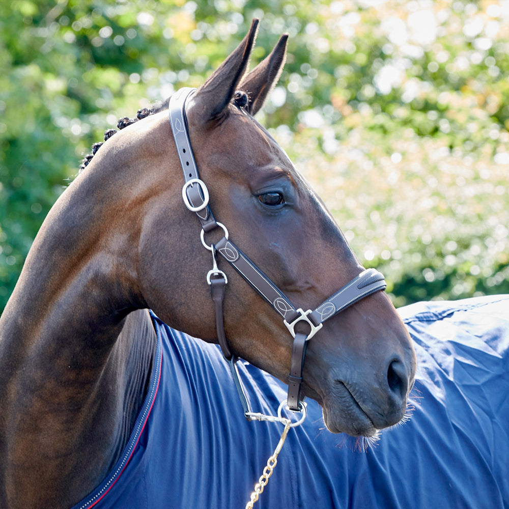 Whitaker HC070 Chicago Leather Headcollar