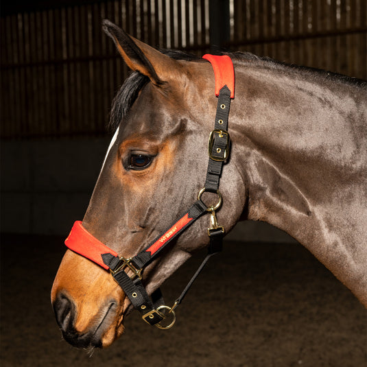 Whitaker HC096 Harewood Headcollar