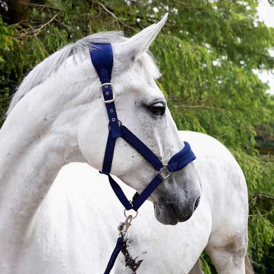 Whitaker HC160 Club Headcollar & Lead Rope Set