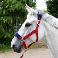 Whitaker HC160 Club Headcollar & Lead Rope Set