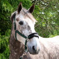 Whitaker HC160 Club Headcollar & Lead Rope Set