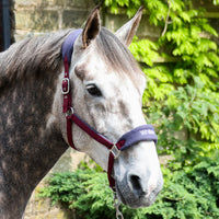 Whitaker HC160 Club Headcollar & Lead Rope Set