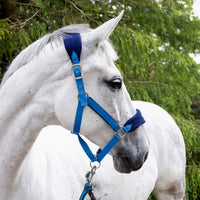 Whitaker HC160 Club Headcollar & Lead Rope Set