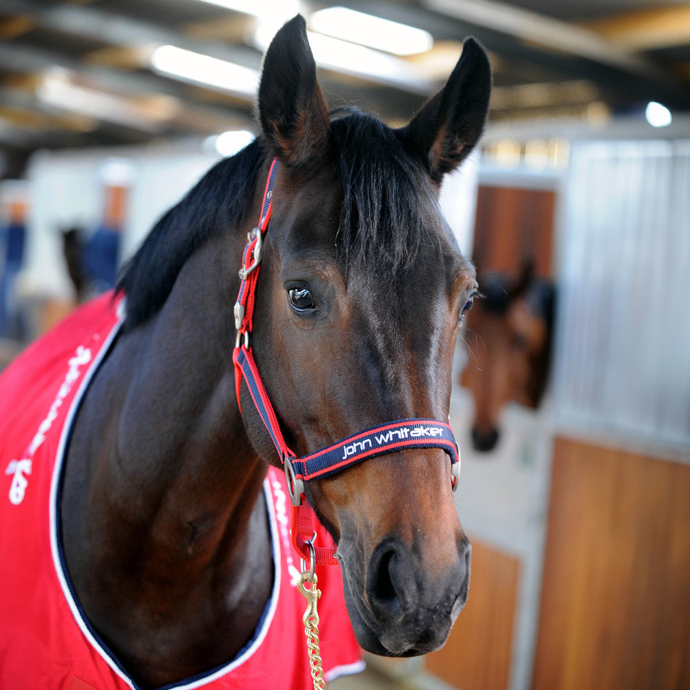 Whitaker HC198 Padded Fleece Headcollar