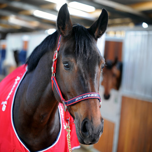 Whitaker HC198 Padded Fleece Headcollar