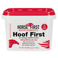 Horse First Hoof First