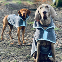 Henry Wag Drying Dog Coat