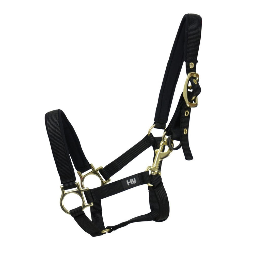 Hy Equestrian Fieldsafe Headcollar Black