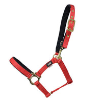Hy Equestrian Fieldsafe Headcollar Red