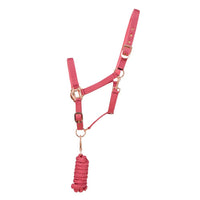 Hy Equestrian Rose Gold Headcollar & Lead Rope Bsh Pnk/R Gld