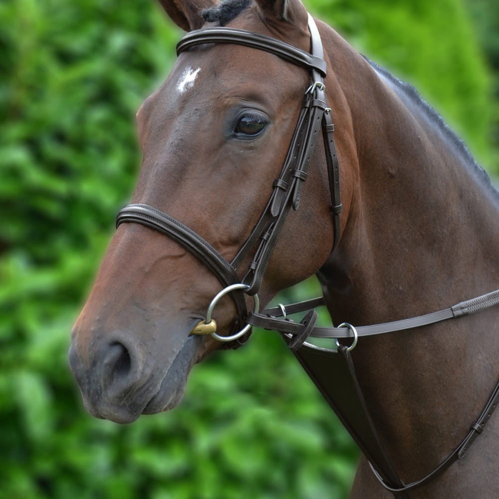 Hy Equestrian Bib Martingale Brown