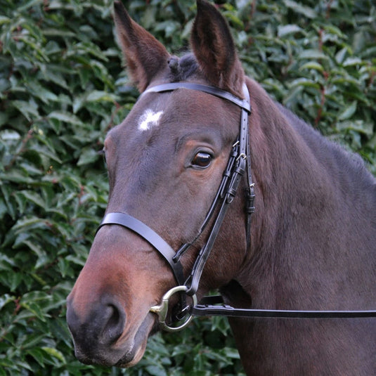Hy Equestrian Hunter Bridle With Rubber Grip Reins Black