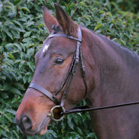 Hy Equestrian Hunter Bridle With Rubber Grip Reins Brown