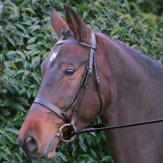 Hy Equestrian Hunter Bridle With Rubber Grip Reins Brown