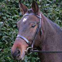Hy Equestrian Hunter Bridle With Rubber Grip Reins Brown