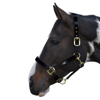 Hy Equestrian Deluxe Padded Headcollar Black