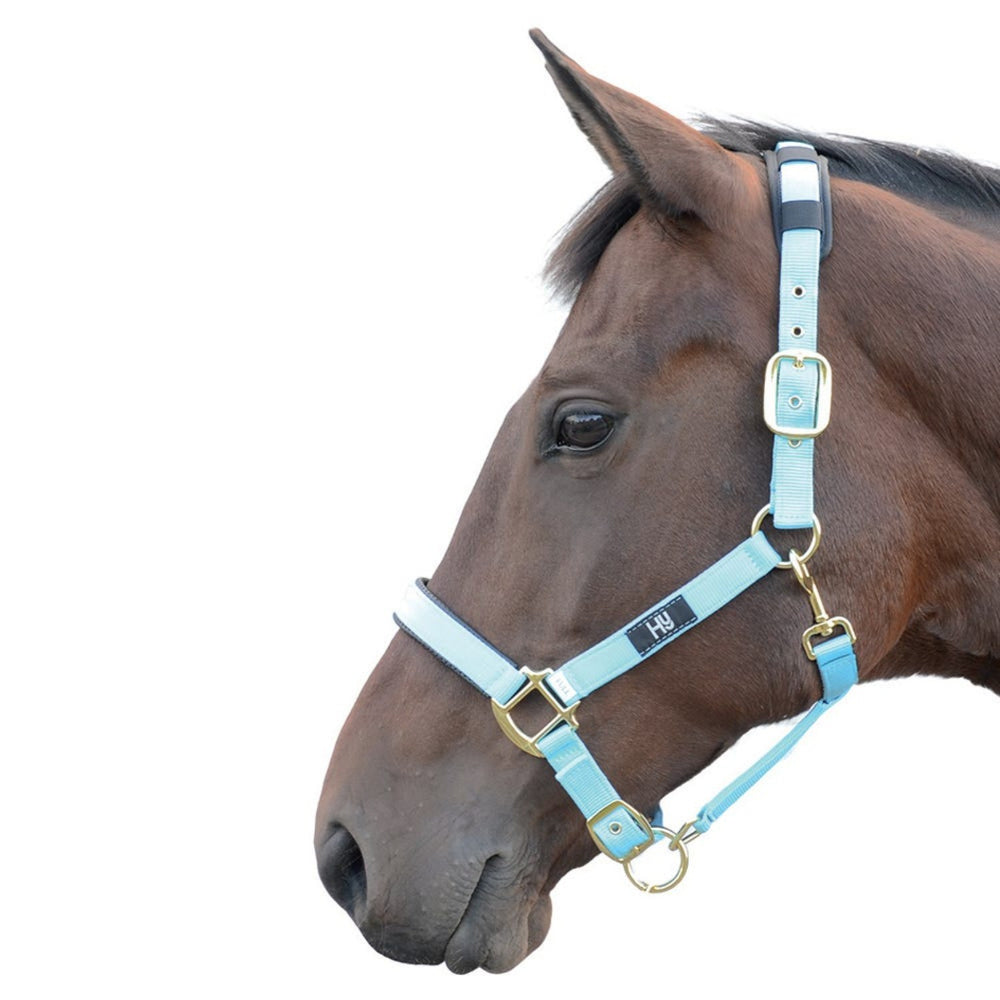 Hy Equestrian Deluxe Padded Headcollar Bright Blue