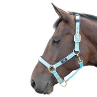 Hy Equestrian Deluxe Padded Headcollar Bright Blue