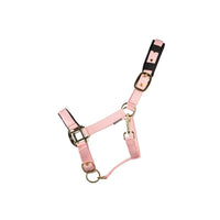 Hy Equestrian Deluxe Padded Headcollar Hot Pink