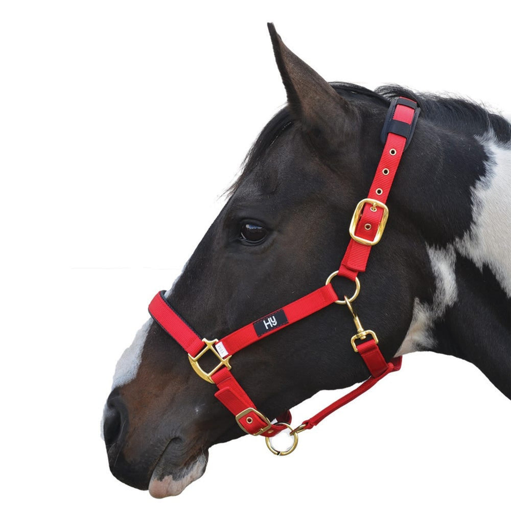 Hy Equestrian Deluxe Padded Headcollar Red