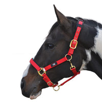 Hy Equestrian Deluxe Padded Headcollar Red