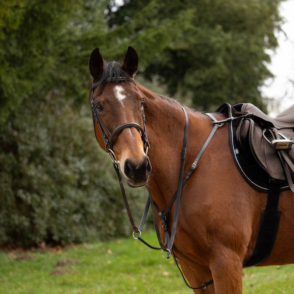 Hy Equestrian Hunting Breastplate Brown